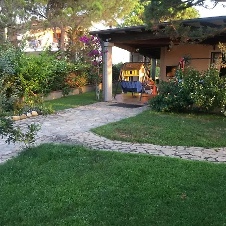 Edo 卡拉·利贝罗托