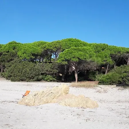Edo 卡拉·利贝罗托