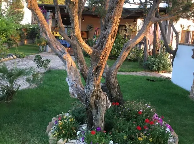 Edo * Cala Liberotto