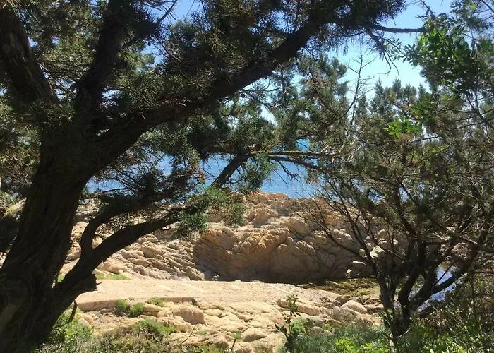 Edo 別荘 カーラ・リベロット